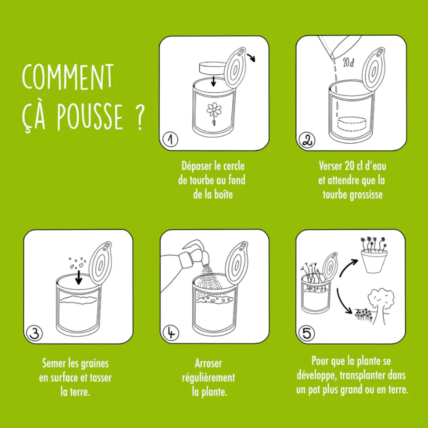 Kit à semer – « Graines de chance » - L'essentiel