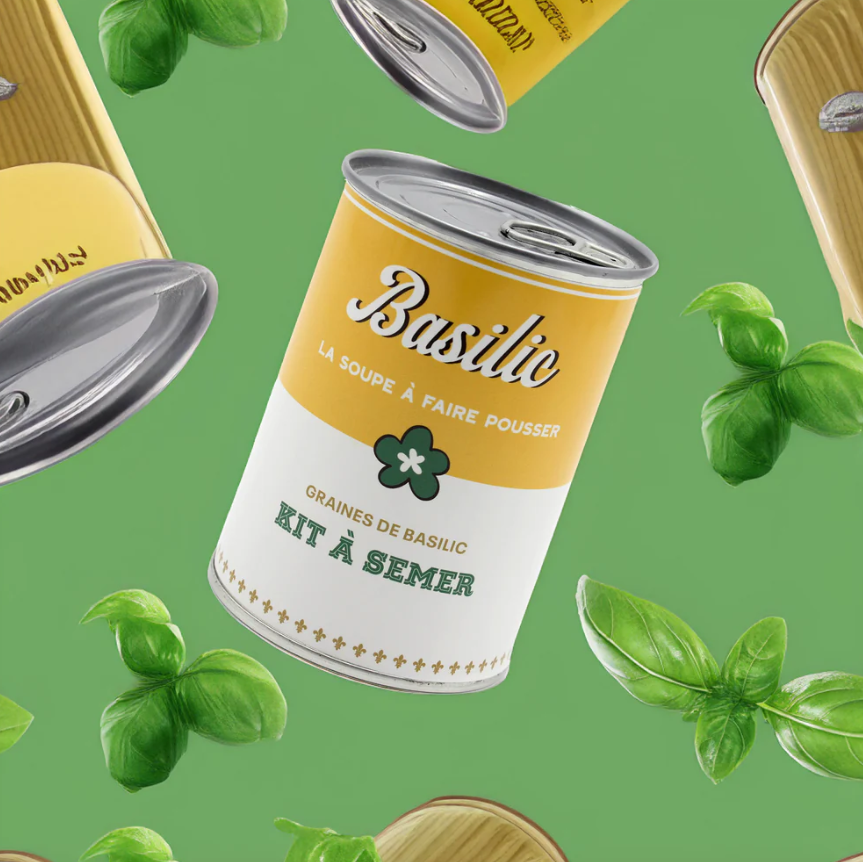 Kit à semer – Basilic - L'essentiel