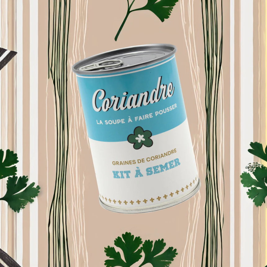Kit à semer – Coriandre - L'essentiel